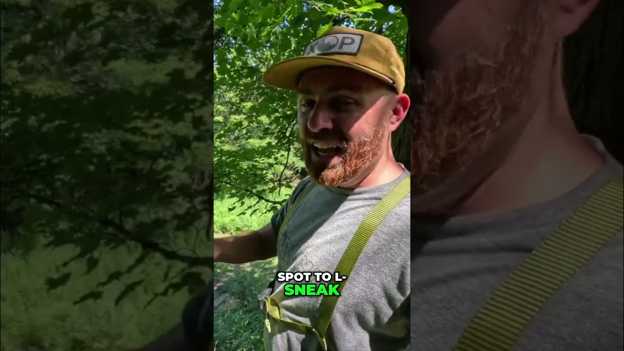 Deer Hunting Secrets