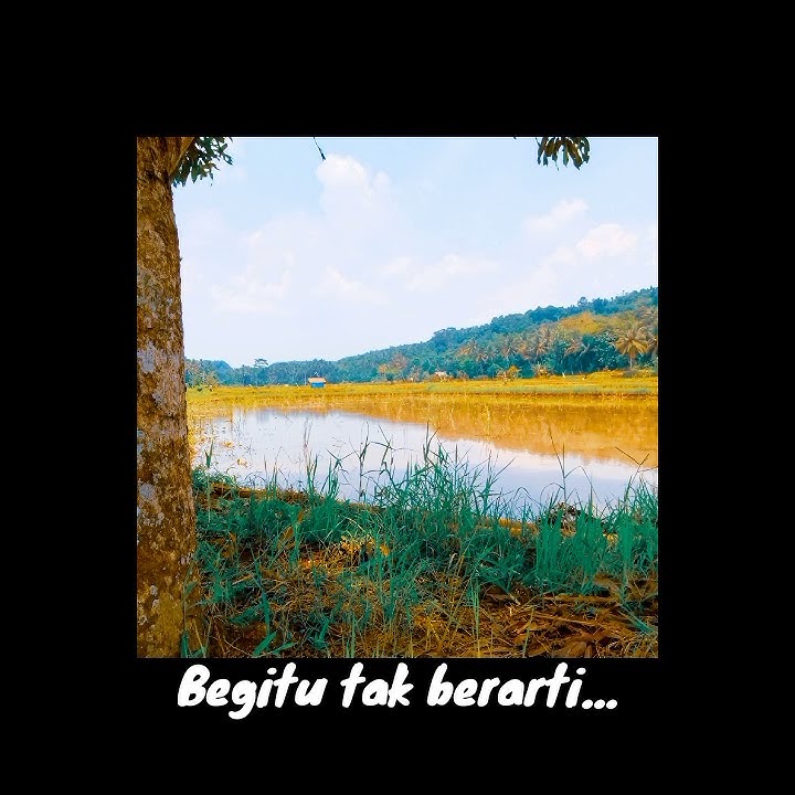 Story Wa Sedih | Video story WhatsApp - Pergi hilang dan lupakan