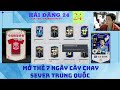 [FO4] TỔNG KẾT 7 NGÀY CÀY CHAY SEVER TRUNG QUỐC | HẢI ĐĂNG 24