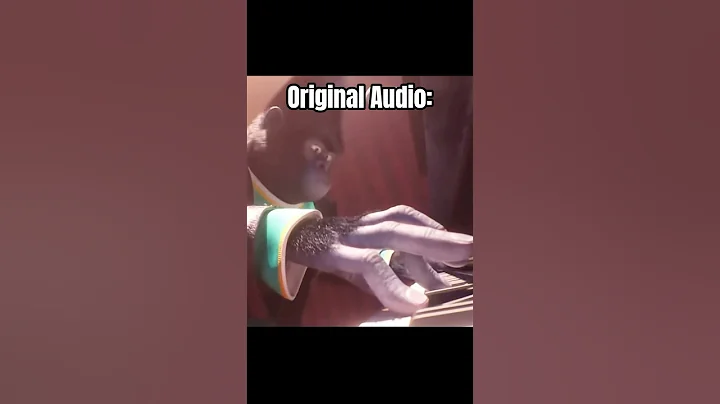 SING Piano Scene But THIS HAPPENS.. 🤨👀 #piano #pianotutorial