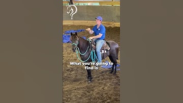Speed Transitions On Your Gaited Horse! Part 3! | The Horse Guru-Michael Gascon