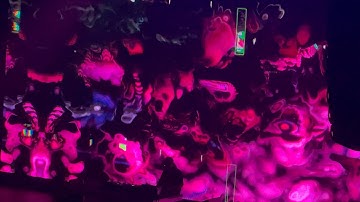 Resonant Language Live @ Mission Ballroom | VJ: Tyme Visions | 9/19/25