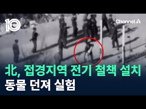 北, 접경지역에 전기 철책 설치…동물 던져 실험 / 채널A / 뉴스TOP 10