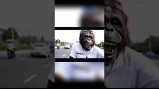 Please, Dewi, come quickly #videoai #laugh #humor #joke #viral