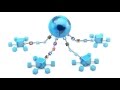 Ixia Application Intelligence Overview 3843528690001