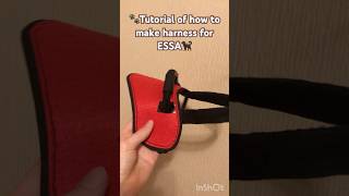 Tutorial on harness for essa!🤎🐾🍪#essa #dog #stuffeddog #fypシ゚viral #tutorial #diy #shorts
