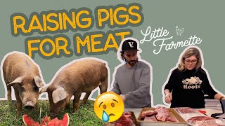 RAISING PIGS FOR MEAT the full story The Little Farmette