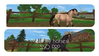 Meet My Horses! SSO RRP