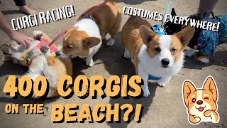 400 CORGIS ON THE BEACH?! | Cannon Beach Corgi Day 2022 — Corgi Racing!