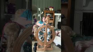 ASMR Handspinning Yarn #fiberart #handspinner #wool #yarn #asmrsounds