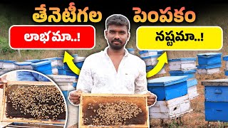 Honey Bee Farming in Telugu | Honey Bee Farming Tips | Cost of Each Honey Bee Box