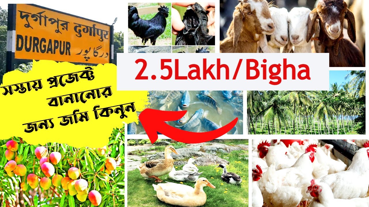 Fp 122 Low price Project /Agriculture land sale in Durgapur Fresh