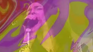 Everybody Must Get Stoned - Rainy Day Woman Rare Black Crowes