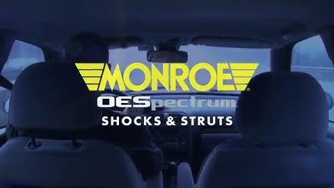 Monroe | OESpectrum Shocks & Struts