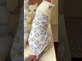 My Cat Became a Walking Fried Egg! 🍳😹 #catclothes #catlover #cutecats