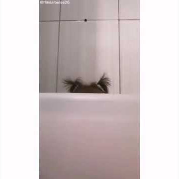 bebe bip bip