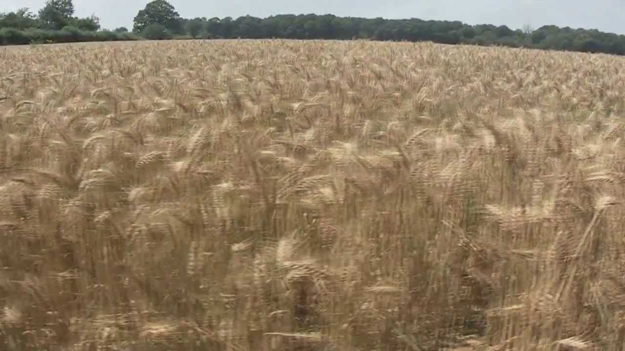 Не гляди на меня с упреком... - YouTube