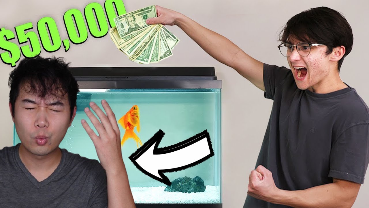 Fishkeeper REACTS to Michael Reeves Video 'I Gave My Goldfish $50,000 to Trade Stocks'
