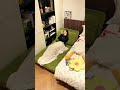 狭い部屋必見 客房いらずの魔法のソファベッド #一人暮らし #収納