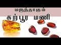 succinum( amber) (கற்பூரமணியின் வைத்தியம் )