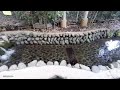 【4K】国分寺・お鷹の道・真姿の池湧水群（2022年7月24日）