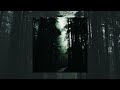 Willex Dolorem Slowed Reversed Sad Reddit Tik Tok Song Willex Dolorem Slowed Reversed Sad Reddit Tik Tok Song