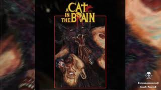 A Cat in the Brain - Nightmare Concert