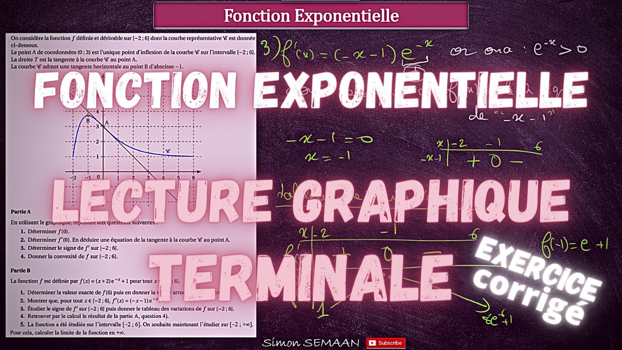 Fonction Exponentielle - Lecture Graphique - BAC Spé - Exercice Corrigé