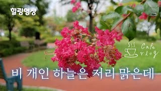 [힐링] 오늘 6분 힐링타임 #휴식 #크린토피아 #점주