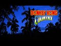 Donkey kong country relaxing music from entire series  tropical forest at night