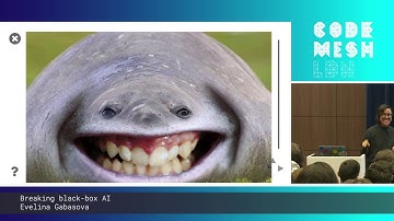 Evelina Gabasova - Breaking black-box AI | Code Mesh LDN 19