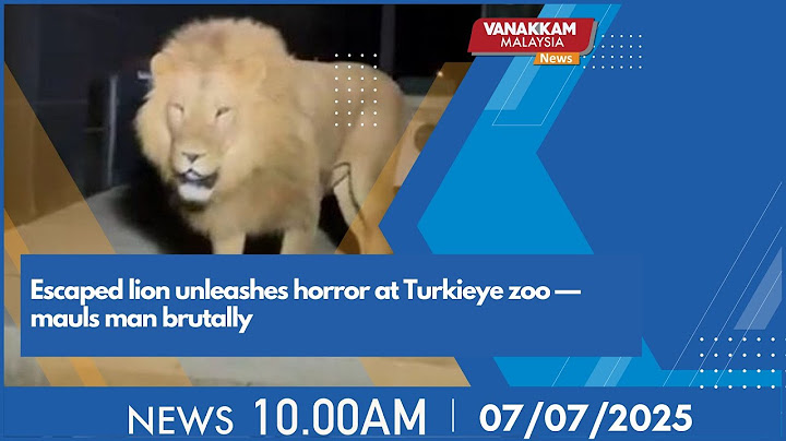7/07/2025: Escaped lion unleashes horror at Turkieye zoo — mauls man brutally - MALAYSIA TAMIL NEWS