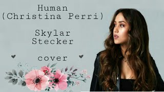Human - Skylar Stecker (Lyrics)