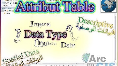 ArcGIS: Attribute Table (Part1) Descriptive Data