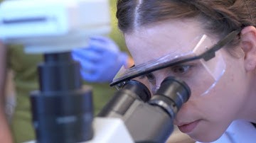 Imitation Is the Sincerest Form of Discovery