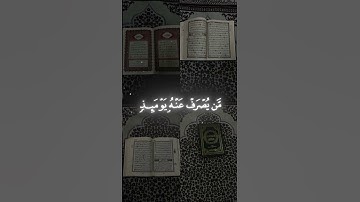 قرآن كريم 📜راحة نفسية ودواء للقلب والنفس❤❤ #لايك #قران #الله