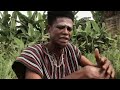 Don Venture Afahye Festival mp3