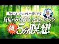 自己肯定感が高まる!Testosteroneとやる毎朝の5分間瞑想ルーティン