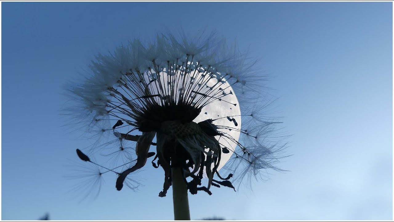 Blesle, jeux de Lune au -dessus d'un des plus beaux villages de France