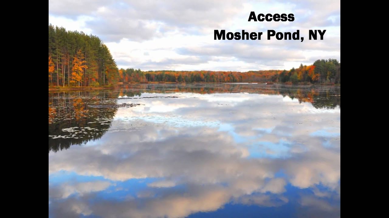 New York Hunting Properties Hunting Property NY Land Sale YouTube