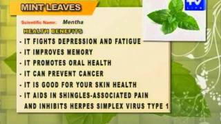 Good Morning Kuya: Health benefits of mint leaves