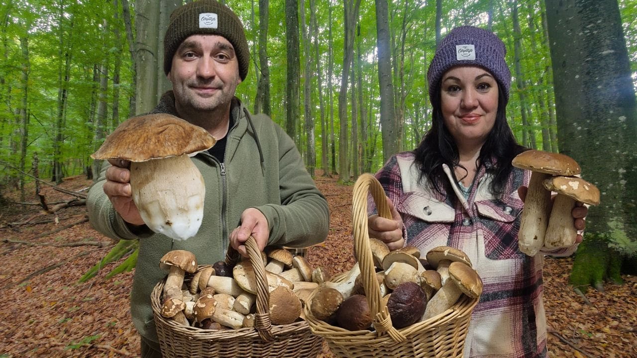 Krásne hríby boli doslova všade - DUBÁKY rastú! - NA HUBY 2025 s rodinkou - zber húb - HOUBY