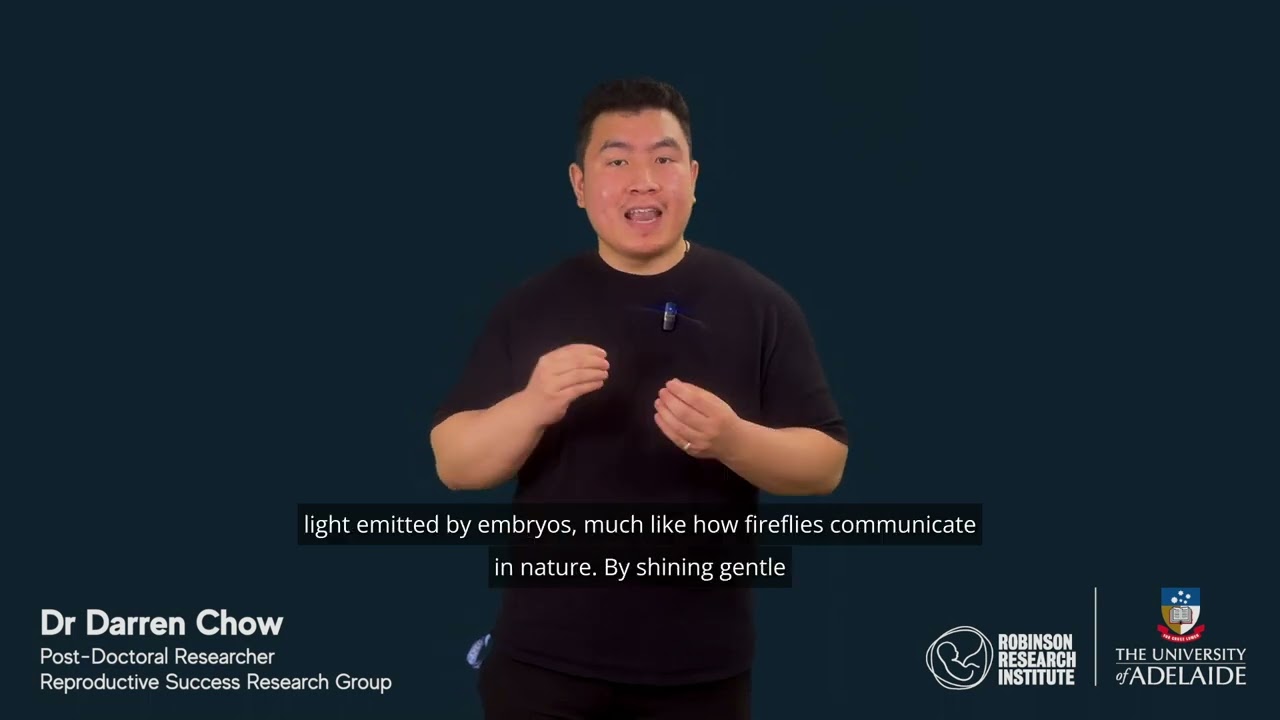 Darren Chow - research pitch - improving IVF success