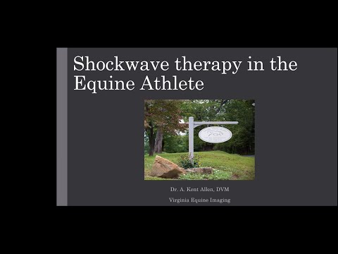 EQUINE WEBINAR:  Shockwave Therapy in the Equine Athlete - video from PulseVet