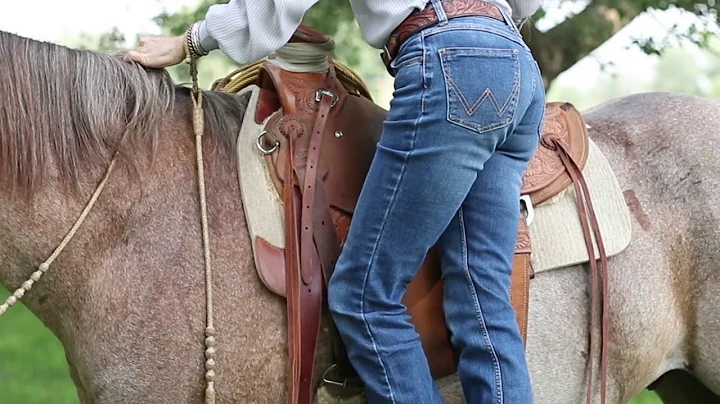The Art of the Cowgirl by Tammy Pate   Teaser Video