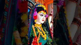 Navratri song and video short 🌹🌹🙏