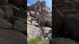 Honduran Girl Rock Climbing In Joshua Tree National Park