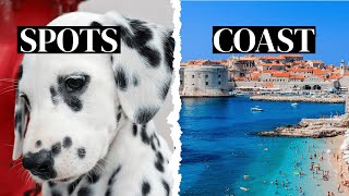 How Dalmatia Gave Its Name To Dogs?