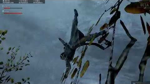 the skyrim together experience