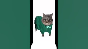 Squid game cat #cat #funny #memes #cute #catmemes #squidgame2 #squidgame #music